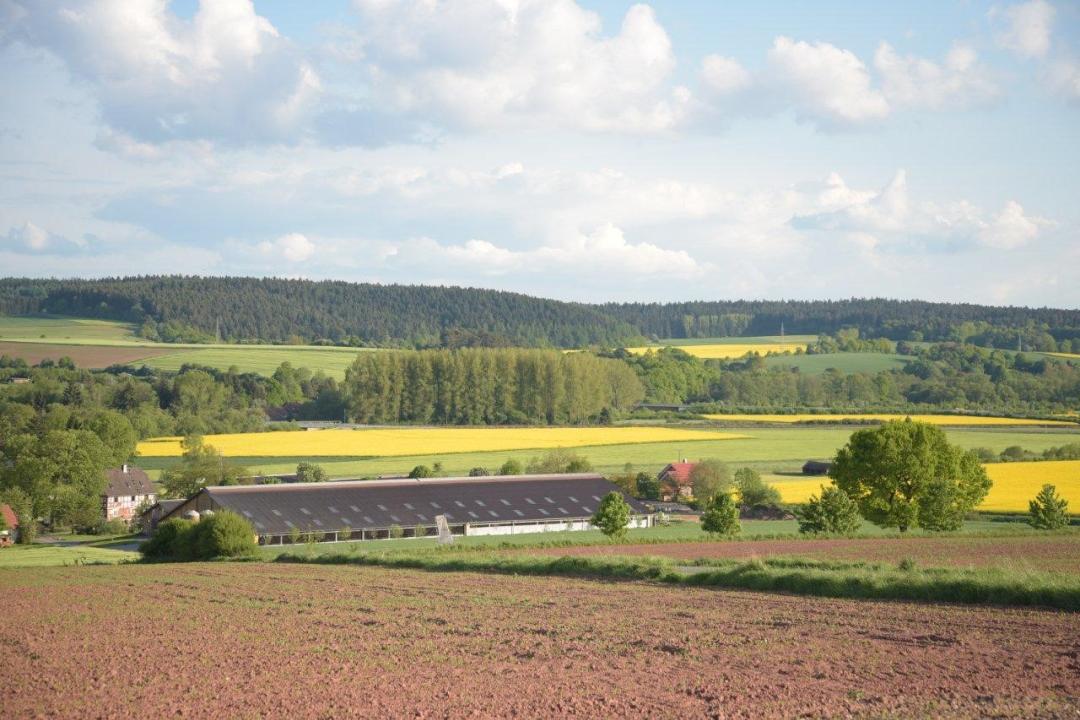 Frankenberger Landschaft