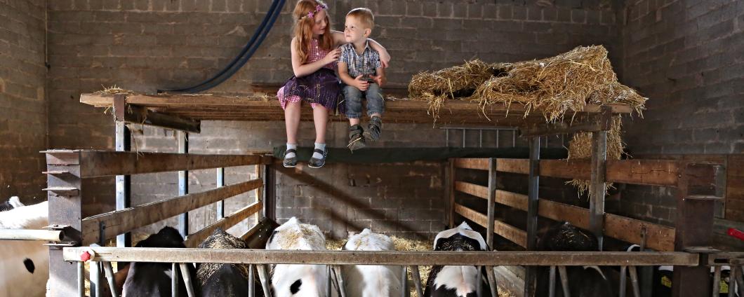 Tochter und Sohn im Kuhstall