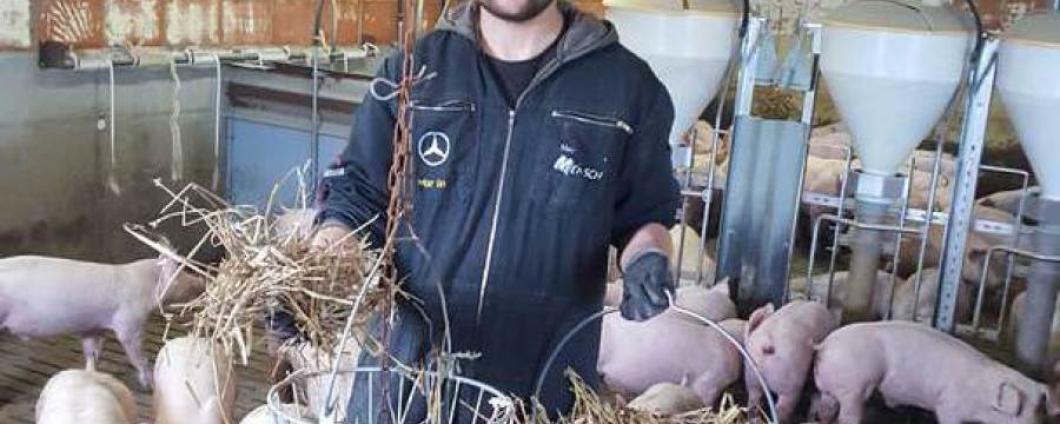 Jannik Leis versorgt seine Schweine mit rohfaserreichem Futter.