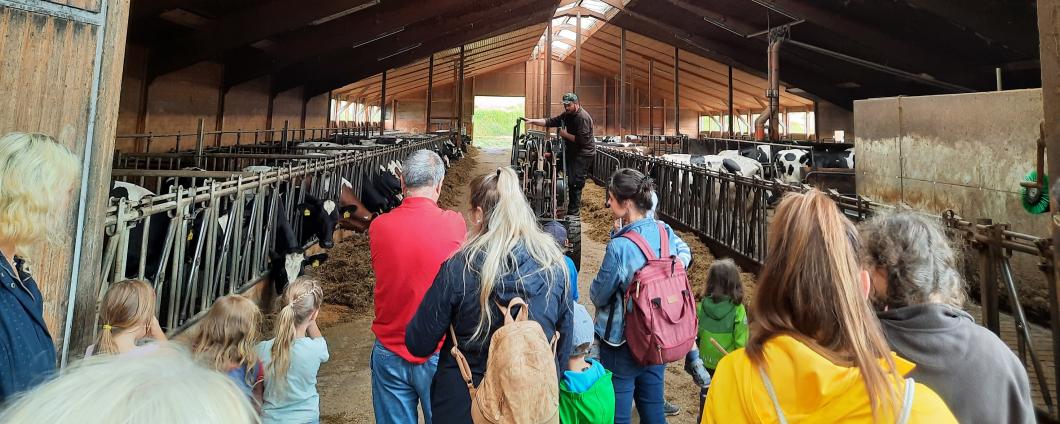 Bauernhof als Klassenzimmer