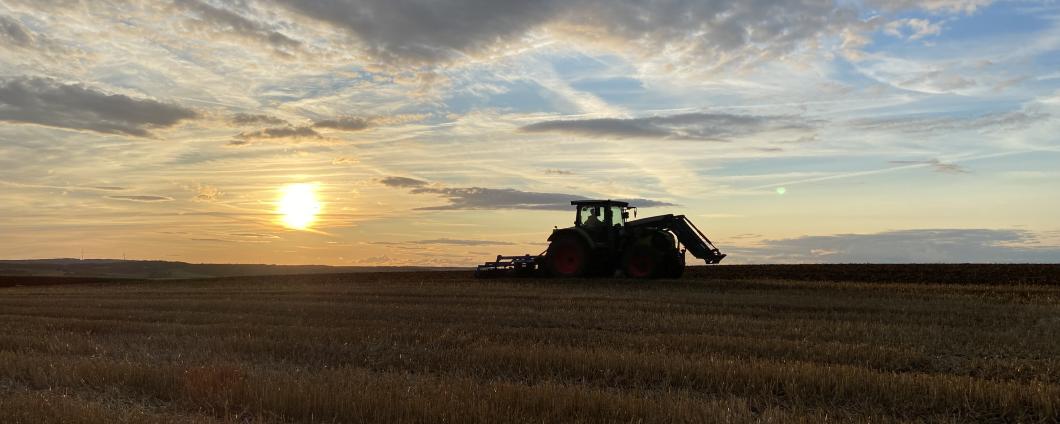 Traktor mit Grubber