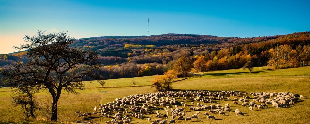 Rhön