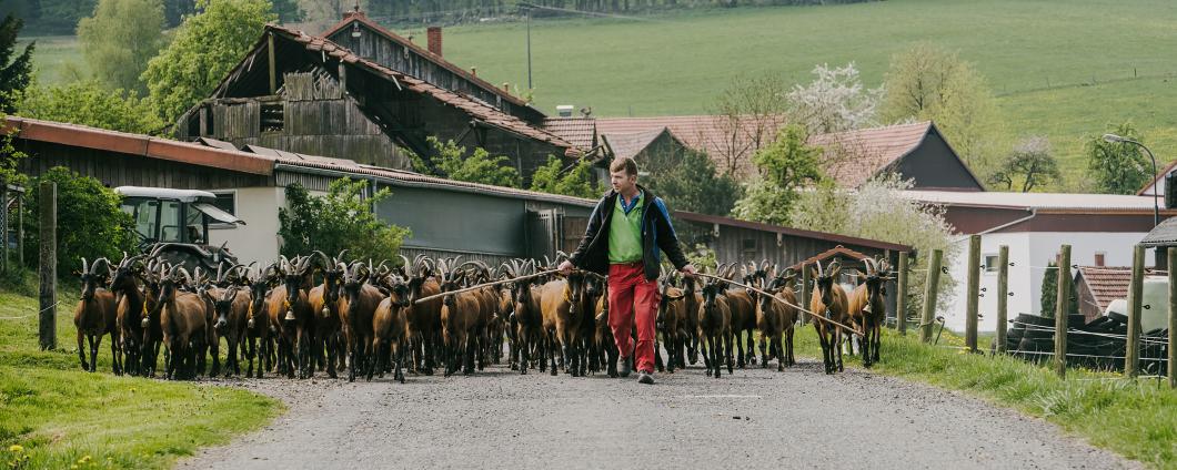Klosterhof Ziegen outdoor