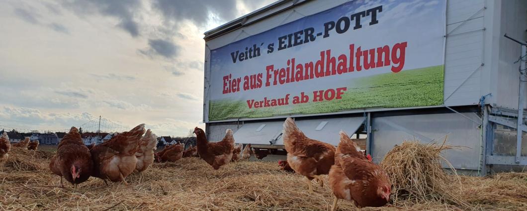 Betrieb Veith Banner Hühner