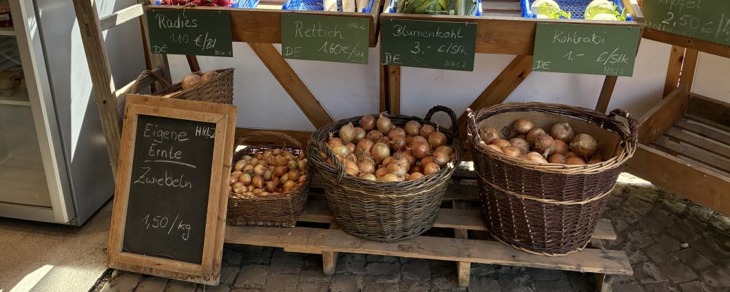 Zwiebel Haas Hofladen 