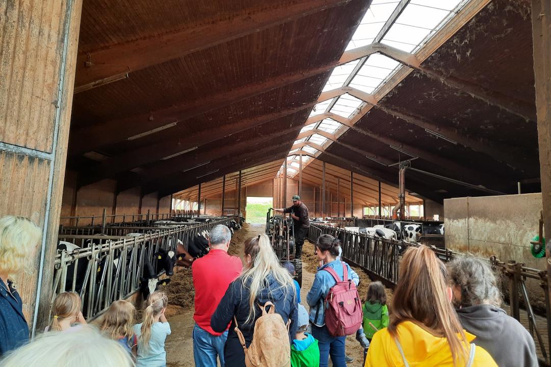 Bauernhof als Klassenzimmer