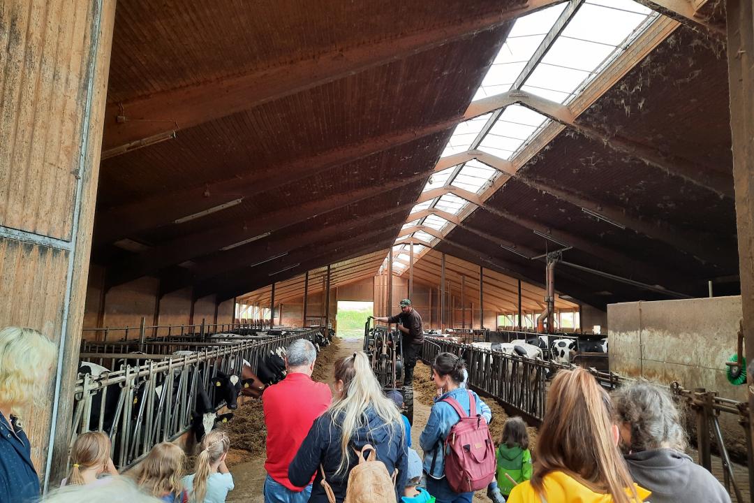 Bauernhof als Klassenzimmer