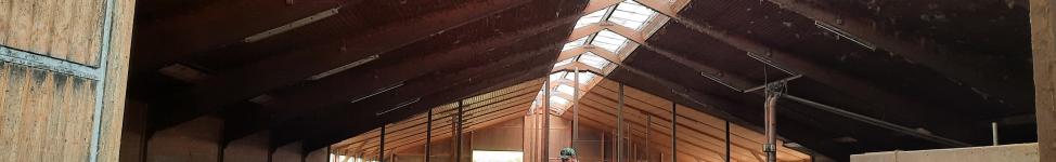 Bauernhof als Klassenzimmer