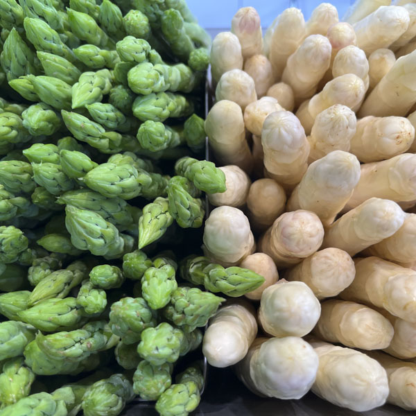 Spargel